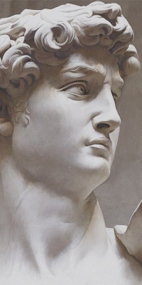 Ковер Давид 2 матовый обрезной 119,5x238,5x0,9