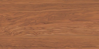 Олива коричневый обрезной 60x119,5x0,9